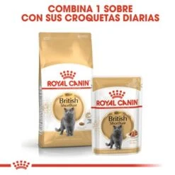 Royal Canin Breed British Shorthair -Suministros Para Mascotas rc fbn wet britishsh mv eretailkit 4 es es 8