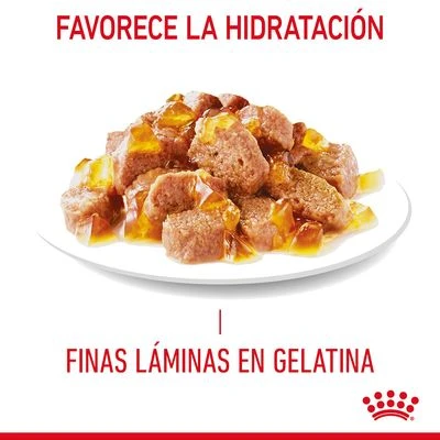 Royal Canin Appetite Control Care En Gelatina 4 Royal Canin Appetite Control Care En Gelatina - Imagen 4