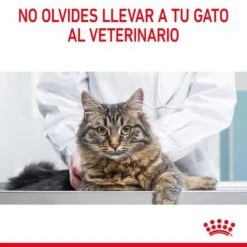Royal Canin Hair & Skin Care En Salsa 19 Royal Canin Hair & Skin Care En Salsa -Suministros Para Mascotas rc fcn hairskinpouchgravy 13 es es 9