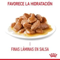 Royal Canin Hair & Skin Care En Salsa 13 Royal Canin Hair & Skin Care En Salsa -Suministros Para Mascotas rc fcn hairskinpouchgravy 7 es es 7