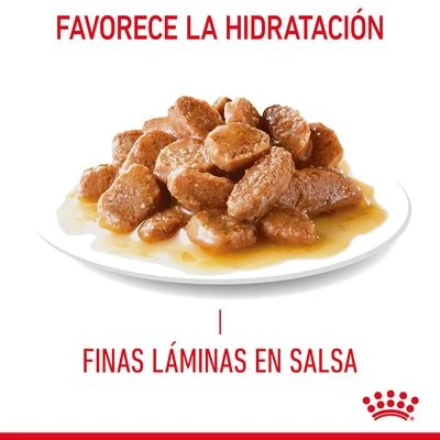 Royal Canin Hair & Skin Care En Salsa 4 Royal Canin Hair & Skin Care En Salsa - Imagen 4