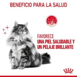 Royal Canin Hair & Skin Care En Gelatina 12 Royal Canin Hair & Skin Care En Gelatina -Suministros Para Mascotas rc fcn hairskinpouchjelly 6 es es 6