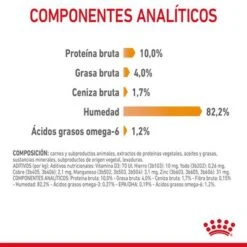 Royal Canin Hair & Skin Care En Gelatina 15 Royal Canin Hair & Skin Care En Gelatina -Suministros Para Mascotas rc fcn hairskinpouchjelly 9 es es 1