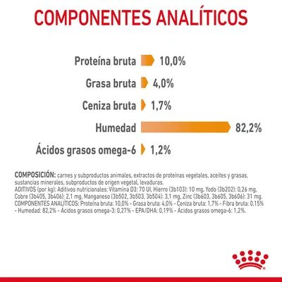 Royal Canin Hair & Skin Care En Gelatina 6 Royal Canin Hair & Skin Care En Gelatina - Imagen 6