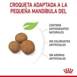 Royal Canin Giant Puppy -Suministros Para Mascotas rc spt dry giantpuppy cv 4 es es 8