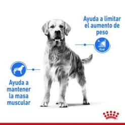 Royal Canin Medium Light Weight Care -Suministros Para Mascotas rc spt dry lightweightmed cv 1 es es 1 4