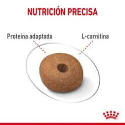 Royal Canin Medium Light Weight Care -Suministros Para Mascotas rc spt dry lightweightmed cv 3 es es 1 7