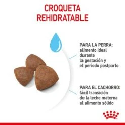 Royal Canin Medium Starter 15 Royal Canin Medium Starter -Suministros Para Mascotas rc spt dry mediumstart cv 4 es es 7