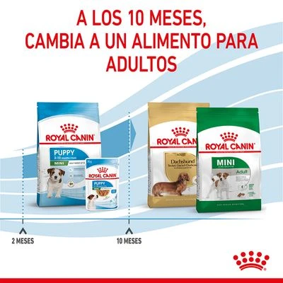 Royal Canin Mini Puppy / Junior 12 Royal Canin Mini Puppy / Junior - Imagen 12