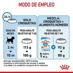 Royal Canin Mini Puppy / Junior 22 Royal Canin Mini Puppy / Junior -Suministros Para Mascotas rc spt dry minipuppy cv 7 es es 2