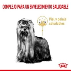 Royal Canin Yorkshire Terrier Adult 8+ -Suministros Para Mascotas rc spt dry york8 cv 1 es es 9