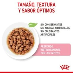 Royal Canin Sterilised Kitten En Salsa 15 Royal Canin Sterilised Kitten En Salsa -Suministros Para Mascotas rc spt wet kittenster cig cv 2 es es 4