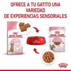 Royal Canin Sterilised Kitten En Salsa 17 Royal Canin Sterilised Kitten En Salsa -Suministros Para Mascotas rc spt wet kittenster cig cv 4 es es 7