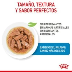 Royal Canin Maxi Puppy En Salsa Para Perros -Suministros Para Mascotas rc spt wet maxipuppy cv 2 es es 1