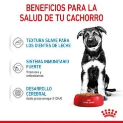 Royal Canin Maxi Puppy En Salsa Para Perros -Suministros Para Mascotas rc spt wet maxipuppy cv 3 es es 8