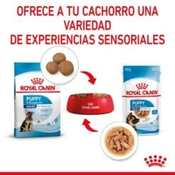 Royal Canin Maxi Puppy En Salsa Para Perros -Suministros Para Mascotas rc spt wet maxipuppy cv 4 es es 7
