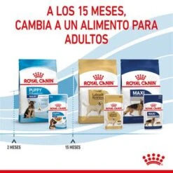 Royal Canin Maxi Puppy En Salsa Para Perros -Suministros Para Mascotas rc spt wet maxipuppy cv 8 es es 9