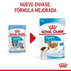 Royal Canin Mini Puppy En Salsa Para Perros -Suministros Para Mascotas rc spt wet minipuppy cv 1 es es 0