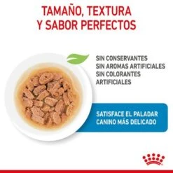 Royal Canin Mini Puppy En Salsa Para Perros -Suministros Para Mascotas rc spt wet minipuppy cv 2 es es 2