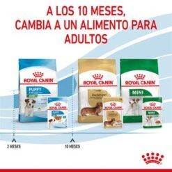 Royal Canin Mini Puppy En Salsa Para Perros -Suministros Para Mascotas rc spt wet minipuppy cv 8 es es 5