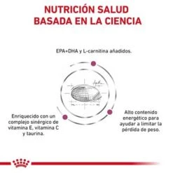Royal Canin Veterinary Canine Cardiac Pienso Para Perros 10 Royal Canin Veterinary Canine Cardiac Pienso Para Perros -Suministros Para Mascotas rc vdi cardiacdry cv eretailkit 3 es es 6
