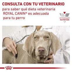 Royal Canin Veterinary Canine Anallergenic Pienso Para Perros -Suministros Para Mascotas rc vet dry dogana cv eretailkit 6 es es 5