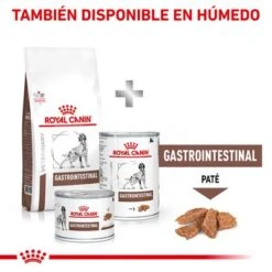 Royal Canin Veterinary Canine Gastro Intestinal Pienso Para Perros -Suministros Para Mascotas rc vet dry doggastro cv eretailkit 8 es es 1