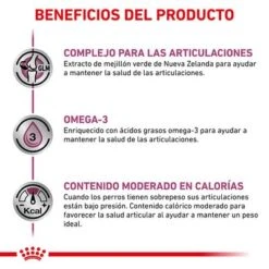 Royal Canin Veterinary Canine Mobility Support Pienso Para Perros 10 Royal Canin Veterinary Canine Mobility Support Pienso Para Perros -Suministros Para Mascotas rc vet dry dogmob cv eretailkit 4 es es 1