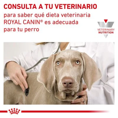 Royal Canin Veterinary Canine Mobility Support Pienso Para Perros 7 Royal Canin Veterinary Canine Mobility Support Pienso Para Perros - Imagen 7