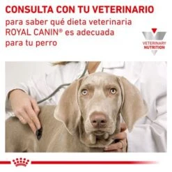 Royal Canin Veterinary Canine Urinary U/C Low Purine Pienso Para Perros 10 Royal Canin Veterinary Canine Urinary U/C Low Purine Pienso Para Perros -Suministros Para Mascotas rc vet dry dogurinaryuc cv eretailkit 6 es es 3