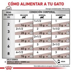 Royal Canin Veterinary Feline Gastro Intestinal Húmeda Para Gatos 12 Royal Canin Veterinary Feline Gastro Intestinal Húmeda Para Gatos -Suministros Para Mascotas rc vet wet catgastromig cv eretailkit 4 es es 0