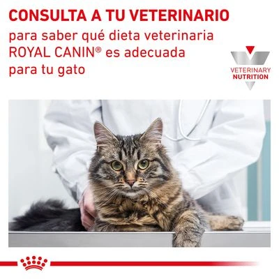 Royal Canin Veterinary Feline Gastro Intestinal Húmeda Para Gatos 8 Royal Canin Veterinary Feline Gastro Intestinal Húmeda Para Gatos - Imagen 8