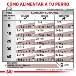 Royal Canin Veterinary Canine Gastrointestinal Mousse -Suministros Para Mascotas rc vet wet doggastro400g cv eretailkit 4 es es 7