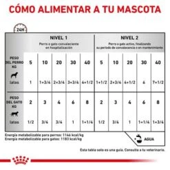 Royal Canin Veterinary Canine Recovery Mousse Perros Y Gatos -Suministros Para Mascotas rc vet wet mixrecov200g cv eretailkit 4 es es 3