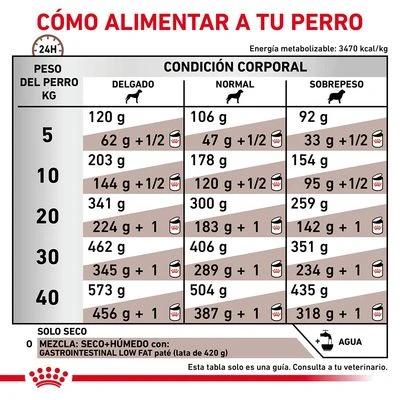 Royal Canin Veterinary Canine Gastrointestinal Low Fat Pienso Para Perros 6 Royal Canin Veterinary Canine Gastrointestinal Low Fat Pienso Para Perros - Imagen 6