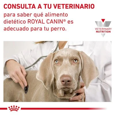 Royal Canin Veterinary Canine Gastrointestinal Low Fat Pienso Para Perros 8 Royal Canin Veterinary Canine Gastrointestinal Low Fat Pienso Para Perros - Imagen 8