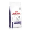 Royal Canin Expert Dental Small Dog Pienso Para Perros
