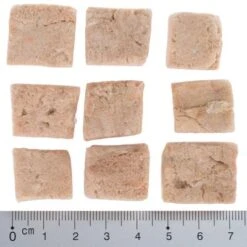 Pack De Prueba Mixto: Wolf Of Wilderness Snacks Liofilizados Premium 24 Pack De Prueba Mixto: Wolf Of Wilderness Snacks Liofilizados Premium -Suministros Para Mascotas wow fd snack blue river cubes with ruler 4 1