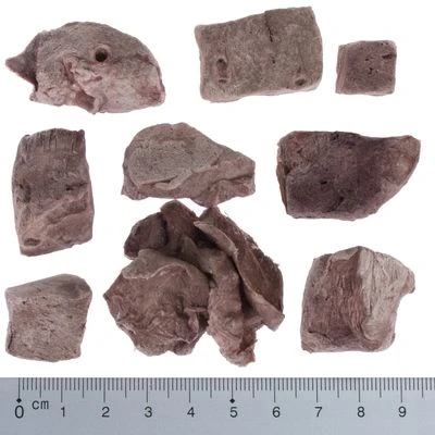 Pack De Prueba Mixto: Wolf Of Wilderness Snacks Liofilizados Premium 11 Pack De Prueba Mixto: Wolf Of Wilderness Snacks Liofilizados Premium - Imagen 11