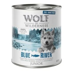 Wolf Of Wilderness Free Range Junior 6 X 800 G -Suministros Para Mascotas wow freerange junior blueriver 800g 1000x1000 1 3 1