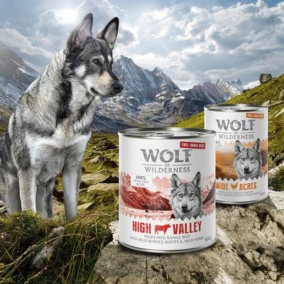 Wolf Of Wilderness Free Range 6 X 800 G 2 Wolf Of Wilderness Free Range 6 X 800 G - Imagen 2